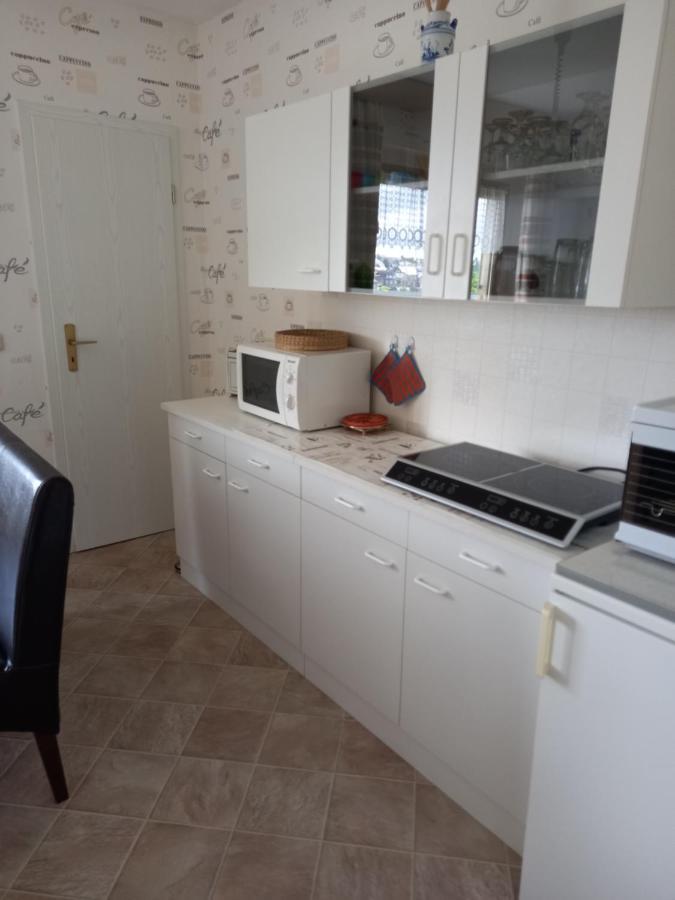 Rennsteigwohnung Rust Schmiedefeld am Rennsteig Extérieur photo